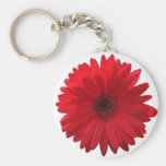 Rotes Gerber Gänseblümchen Keychain Schlüsselband
