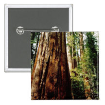 Rothölzer Yosemite Anstecknadelbutton