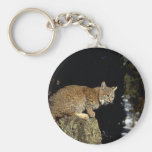 Rotluchs Schlüsselanhänger