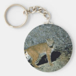 Rotluchs Schlüsselband