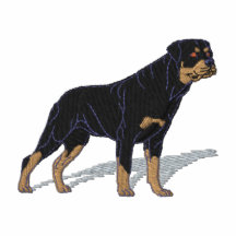 Rottweiler