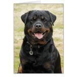 Rottweiler Geburtstags-Karte