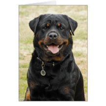 Rottweiler Geburtstags-Karte