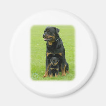 Rottweiler Magnete