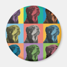 Rottweiler Pop-Art Magnete