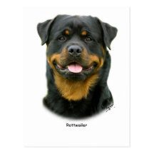 Rottweiler Postkarten