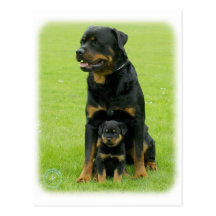 Rottweiler Postkarten