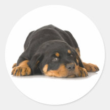 Rottweiler Runde Aufkleber