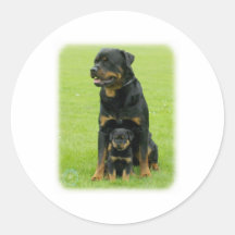 Rottweiler Runde Aufkleber