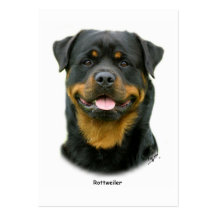 Rottweiler Visitenkarten Vorlagen