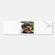 Rottweiler Welpe Autoaufkleber