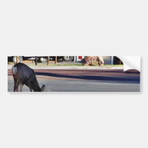 Rotwild in der Stadt Autosticker