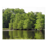 Ruhige Bucht Postkarte