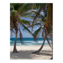 Ruhiger karibischer Strand Postkarten