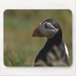 Ruhiger Papageientaucher Mousepad