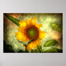 Ruhm (Sonnenblume-Plakat)