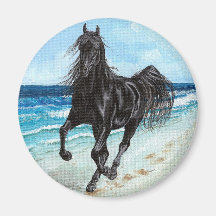 Runder Magnet schwarzes des Stallion arabisches Pf Magnets