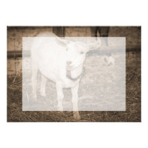Saanen doeling Sepia-Ziegenmund offen Personalisierte Ankündigungskarten