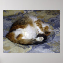 Sadie kräuselte sich oben plakat