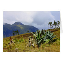 Saftiges Ecuador Karten