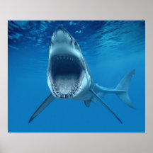 Sagen Sie Ahhhhh Haifisch-Druck Plakat