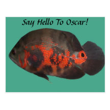 Sagen Sie hallo zu Oscar-Postkarte