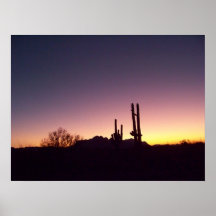 Saguaro-Finger Posterdrucke