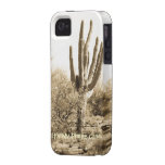 Saguaro iPhone 4/4S Fall iPhone 4/4S Hüllen