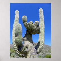 Saguaro mit Haube Plakate