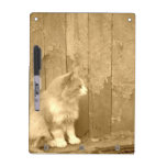 Sahara-Katze Sepia-im trockenen Löschen-Brett Whiteboards