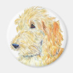 SahneLabradoodle Magnet Kühlschrankmagnet