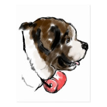 saint_bernard_portrait postkarte