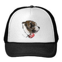 saint_bernard_portrait truckerkappen