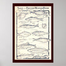 Salz und Süßwasserfische Plakat