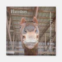 Sammelbare Magnet-Reihe - Navedano Magnete