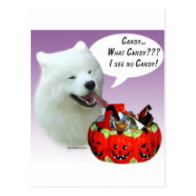 Samoyed-Halloween-Süßigkeit Postkarten