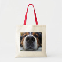 Samson Leinentaschen