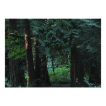 Samt-Wald Personalisierte Einladungskarten