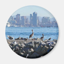 San Diego Pelikan-Vogel-Stadt-Skyline-Wasser Magnete
