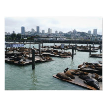 San Francisco und des Pier-39 Foto-Druck