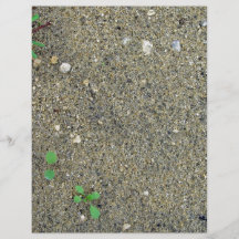 Sand und Unkräuter Flyer