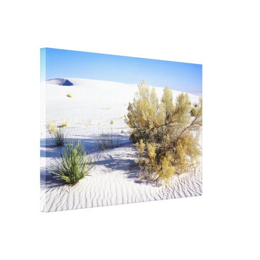 Sanddünen in der Mojave-Wüste, Kalifornien Gespannter Galerie Druck