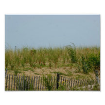 Sandy bedeckt photographischen Druck 10 x 8 mit Gr