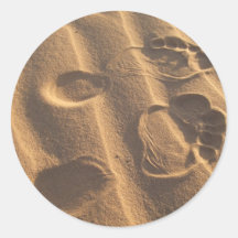 SANDY-FÜSSE AUFKLEBER