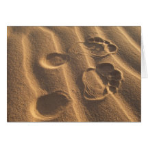 SANDY-FÜSSE GRUßKARTEN