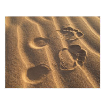 SANDY-FÜSSE POSTKARTE
