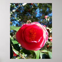 Sang Plakatdrucke
