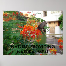 SANY6412, NATUR, DIE NATÜRLICHE MAHLZEIT BEREITSTE PLAKATE
