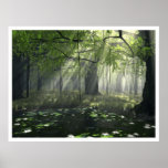 Satori Plakatdrucke