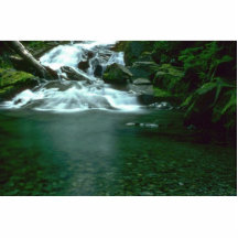 Säubern Sie grünes Wasser Photo Skulpturen